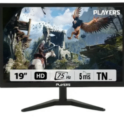 بلاير | 19 بوصة | 75hz